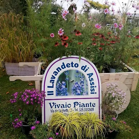 Apartman Vacanze Assisi Nel Cuore Costano