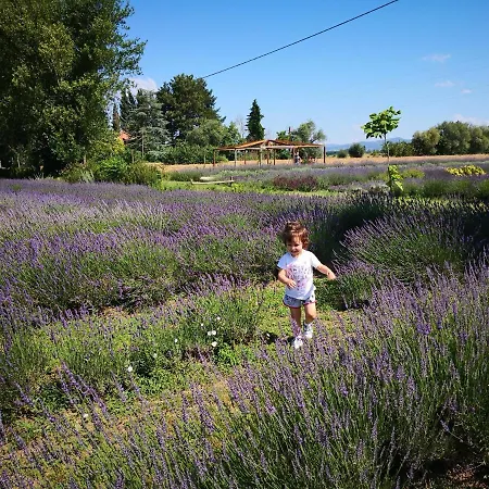 Vacanze Assisi Nel Cuore * Costano